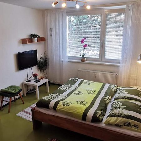 Apartman V Jihlava City Екстериор снимка